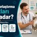 Kedi Kısırlaştırma Fiyatları Ne Kadar? Veteriner Masrafları