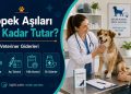 Köpek Aşıları Ne Kadar Tutar? Yıllık Veteriner Giderleri
